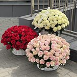 Сет Композиций из 303 роз в корзинах